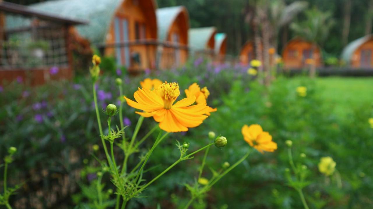 Chay Lap Farmstay Bo Trach Exterior photo